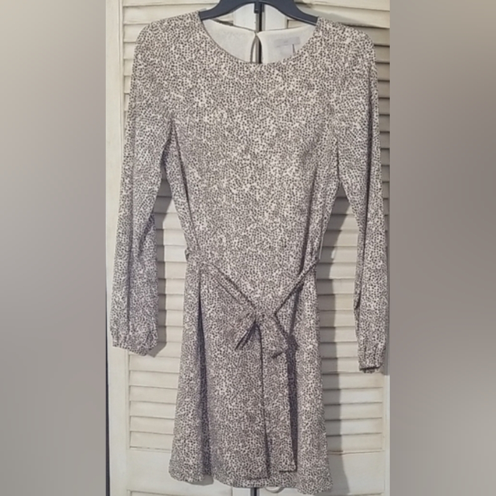 H&M Long Sleeve Tan Animal Print Dress